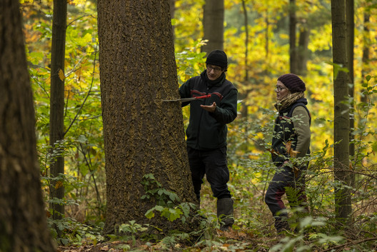 Förster und Försterin bei Baumauswahl im Wald