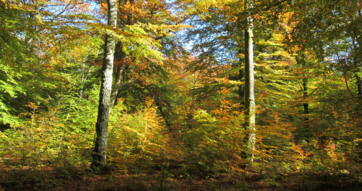 AnsprechpartnerInnen 2019