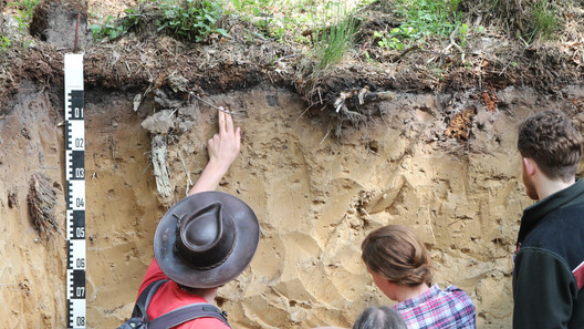 Weberkuhle Suche nach Regenwürmern