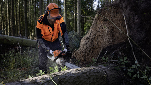 Forstwirt beim Sägen Forstwirt bei der Arbeit