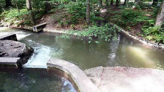 Ausgeklügelte Wassergewinnung im Stadtwald Augsburg Wasserläufe im Stadtwald Augsburg