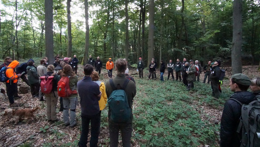 Führung im Choriner Wald