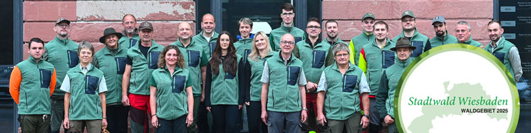 Waldgebiet des Jahres 2025